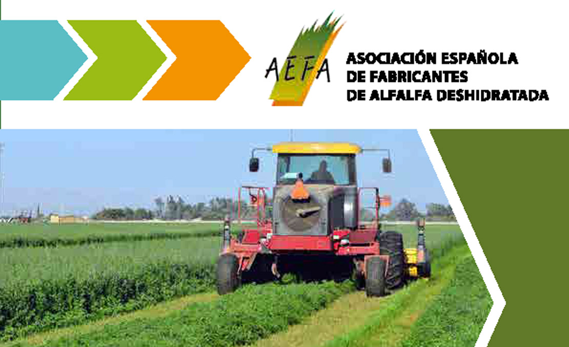 Afrontando nuevos retos: Nuestra alfalfa en China!